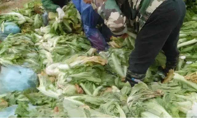 從”老壇酸菜“事件引發(fā)的反思：凈水器的甄別也需謹慎再三！