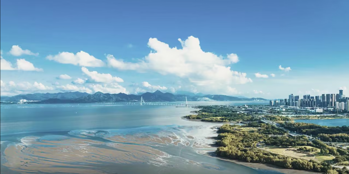 漢斯頓宣傳視頻