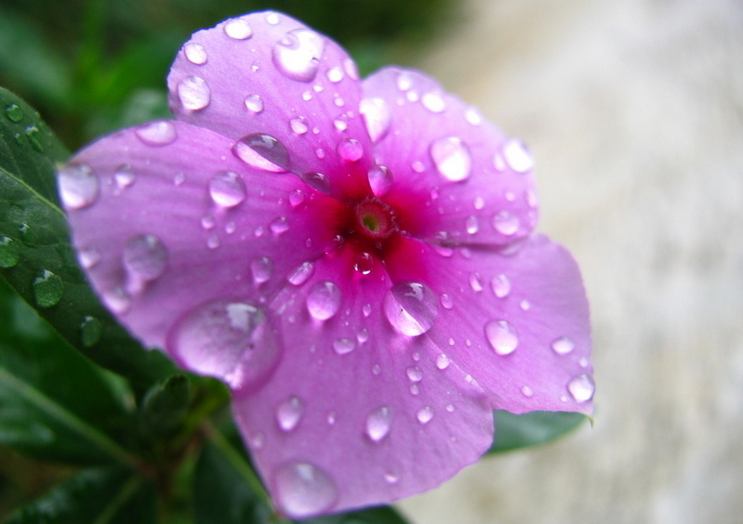 凈水器能讓身體更健康嗎？