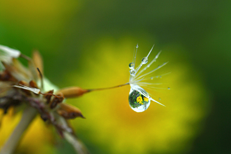 漢斯頓的競(jìng)爭(zhēng)優(yōu)勢(shì)在哪里