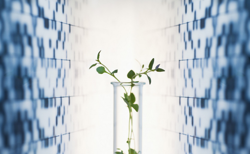 漢斯頓在凈水器行業中的影響力從何而來