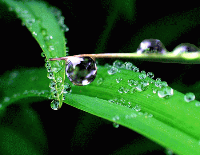 如何推動凈水器行業(yè)迅速發(fā)展