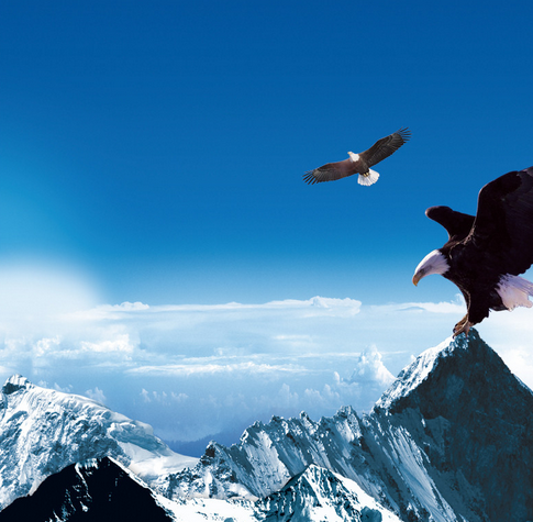 漢斯頓開拓新市場(chǎng)，贏取新機(jī)遇