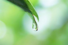 什么是全屋凈化系統(tǒng)呢？全屋凈水用什么凈水器？