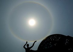 大樹底下好乘涼，大品牌有光環效應