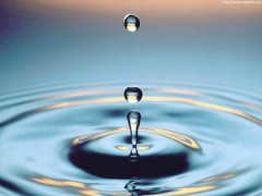 漢斯頓推出新品的亮點(diǎn)有哪些