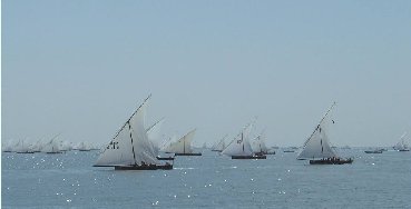 百舸爭(zhēng)流，不進(jìn)則退，未雨綢繆才能贏發(fā)展